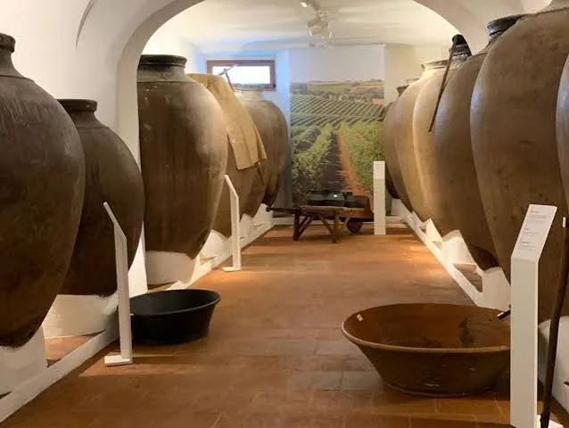 Row of large clay amphorae along a vaulted museum room with a vineyard backdrop