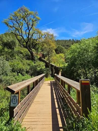 Wooden footbridge among trees on the Passadiços da Serra d'Ossa