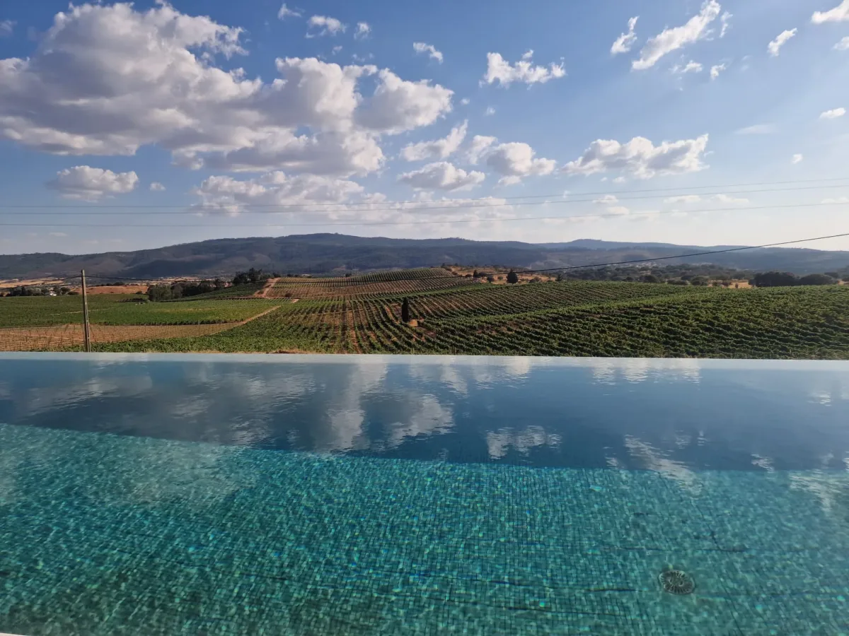 Piscina infinita sobre as vinhas e a Serra d'Ossa
